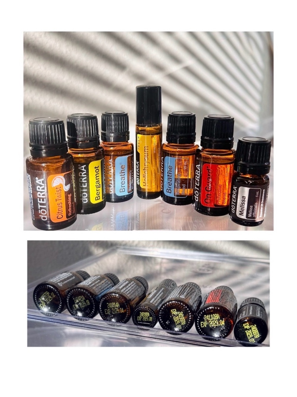 Dotters Essential Oil Set. Brand New. Expiration 2029 Sealed NWT! Top blends.